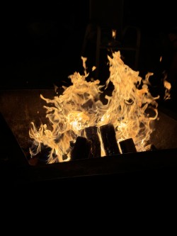 DJ'S Dockside fire at Nelson Lake